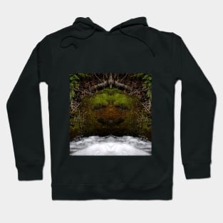 Toad Shaman Hoodie